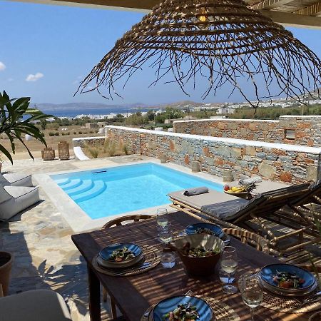 Villa Ypsilon Naxos - Luxury Holiday House With Amazing Sea View & Private Pool Agia Anna  Bagian luar foto