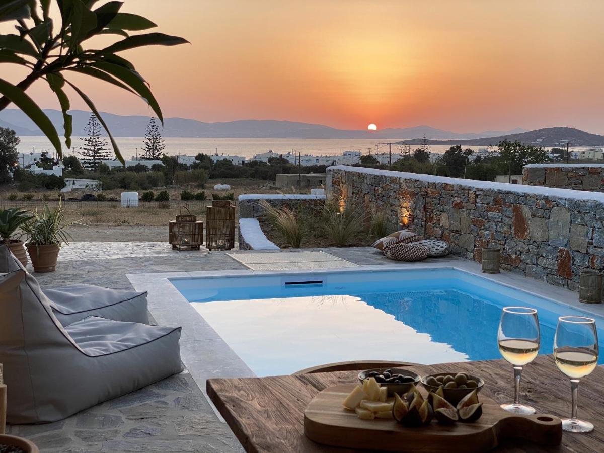 Villa Ypsilon Naxos - Luxury Holiday House With Amazing Sea View & Private Pool Agia Anna  Bagian luar foto